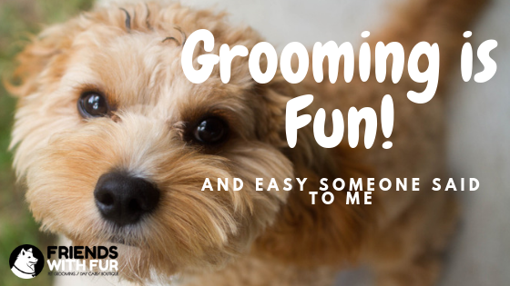 Someone once told me “Grooming is Fun and Easy”